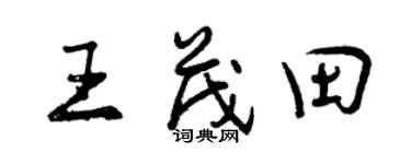 曾庆福王茂田行书个性签名怎么写