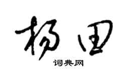 梁锦英杨田草书个性签名怎么写