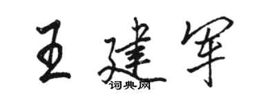 骆恒光王建军行书个性签名怎么写