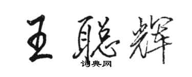 骆恒光王聪辉行书个性签名怎么写