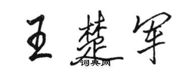 骆恒光王楚军行书个性签名怎么写