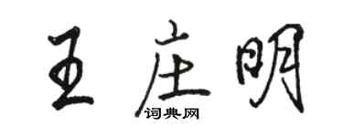 骆恒光王庄明行书个性签名怎么写