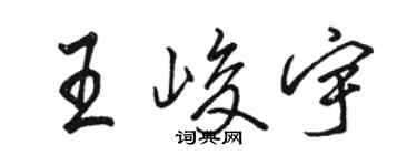 骆恒光王峻宇行书个性签名怎么写