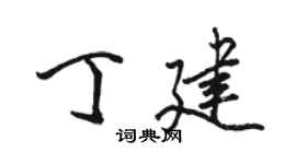 骆恒光丁建行书个性签名怎么写