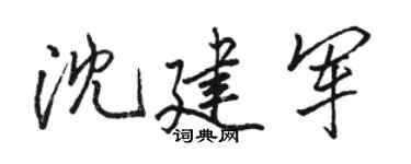 骆恒光沈建军行书个性签名怎么写