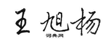 骆恒光王旭杨行书个性签名怎么写