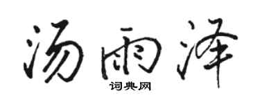 骆恒光汤雨泽行书个性签名怎么写