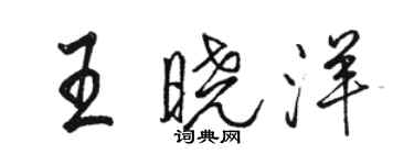 骆恒光王晓洋行书个性签名怎么写