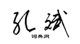 梁锦英孔斌草书个性签名怎么写