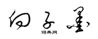 梁锦英向子墨草书个性签名怎么写