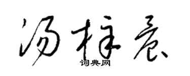 梁锦英汤梓晨草书个性签名怎么写