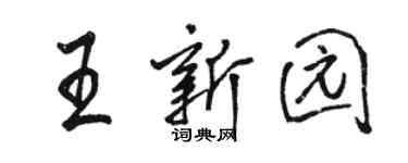 骆恒光王新园行书个性签名怎么写