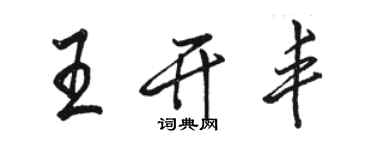 骆恒光王开丰行书个性签名怎么写