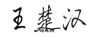 骆恒光王楚汉行书个性签名怎么写