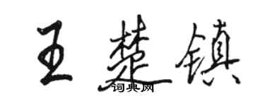 骆恒光王楚镇行书个性签名怎么写