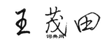 骆恒光王茂田行书个性签名怎么写