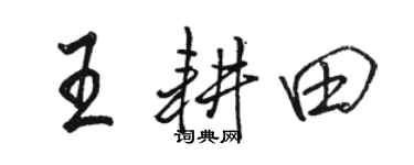 骆恒光王耕田行书个性签名怎么写