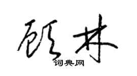 梁锦英顾林草书个性签名怎么写