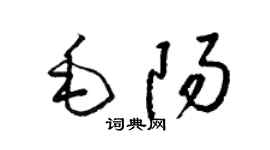 梁锦英毛阳草书个性签名怎么写