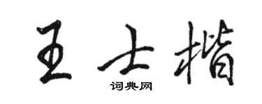 骆恒光王士楷行书个性签名怎么写