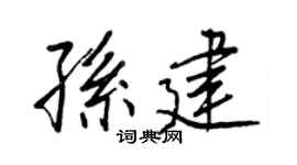 王正良孙建行书个性签名怎么写