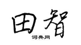 王正良田智行书个性签名怎么写