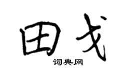 王正良田戈行书个性签名怎么写