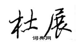 王正良杜展行书个性签名怎么写