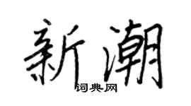 王正良新潮行书个性签名怎么写