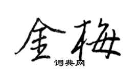 王正良金梅行书个性签名怎么写