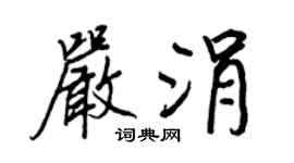 王正良严涓行书个性签名怎么写