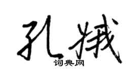 王正良孔娥行书个性签名怎么写