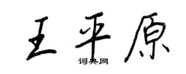 王正良王平原行书个性签名怎么写