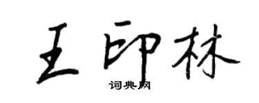 王正良王印林行书个性签名怎么写