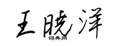 王正良王晓洋行书个性签名怎么写