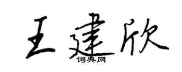 王正良王建欣行书个性签名怎么写