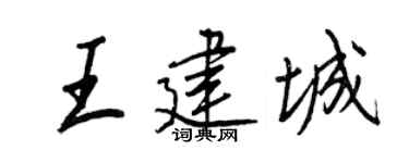 王正良王建城行书个性签名怎么写