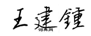 王正良王建钟行书个性签名怎么写