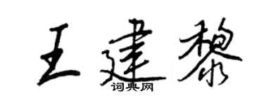 王正良王建黎行书个性签名怎么写