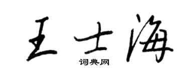 王正良王士海行书个性签名怎么写