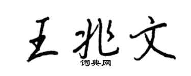 王正良王兆文行书个性签名怎么写