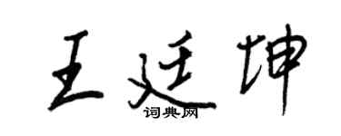 王正良王廷坤行书个性签名怎么写