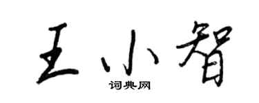 王正良王小智行书个性签名怎么写