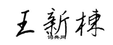 王正良王新栋行书个性签名怎么写