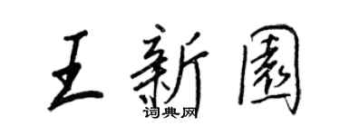 王正良王新园行书个性签名怎么写