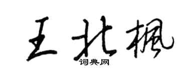 王正良王北枫行书个性签名怎么写