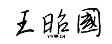 王正良王昭国行书个性签名怎么写