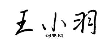 王正良王小羽行书个性签名怎么写