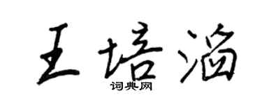 王正良王培滔行书个性签名怎么写