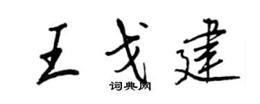 王正良王戈建行书个性签名怎么写